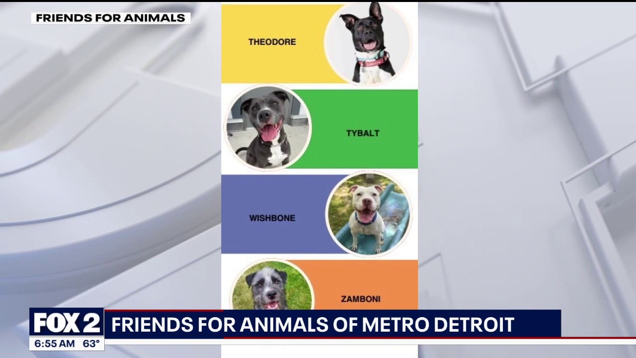 Friends For Animals of Metro Detroit