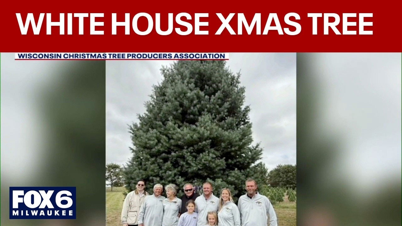 Wisconsin pine selected as White House Christmas tree