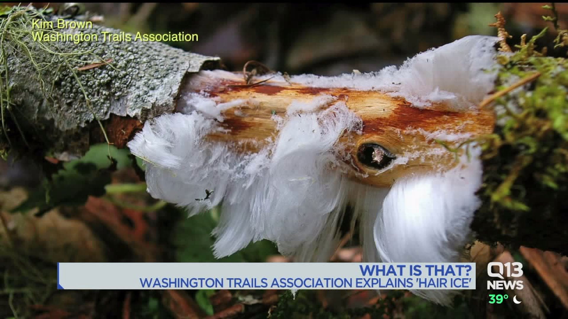 What is Hair Ice?