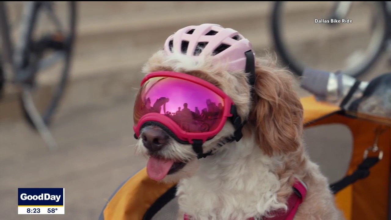 'Dallas Bike Ride' is back! Fun way to experience city