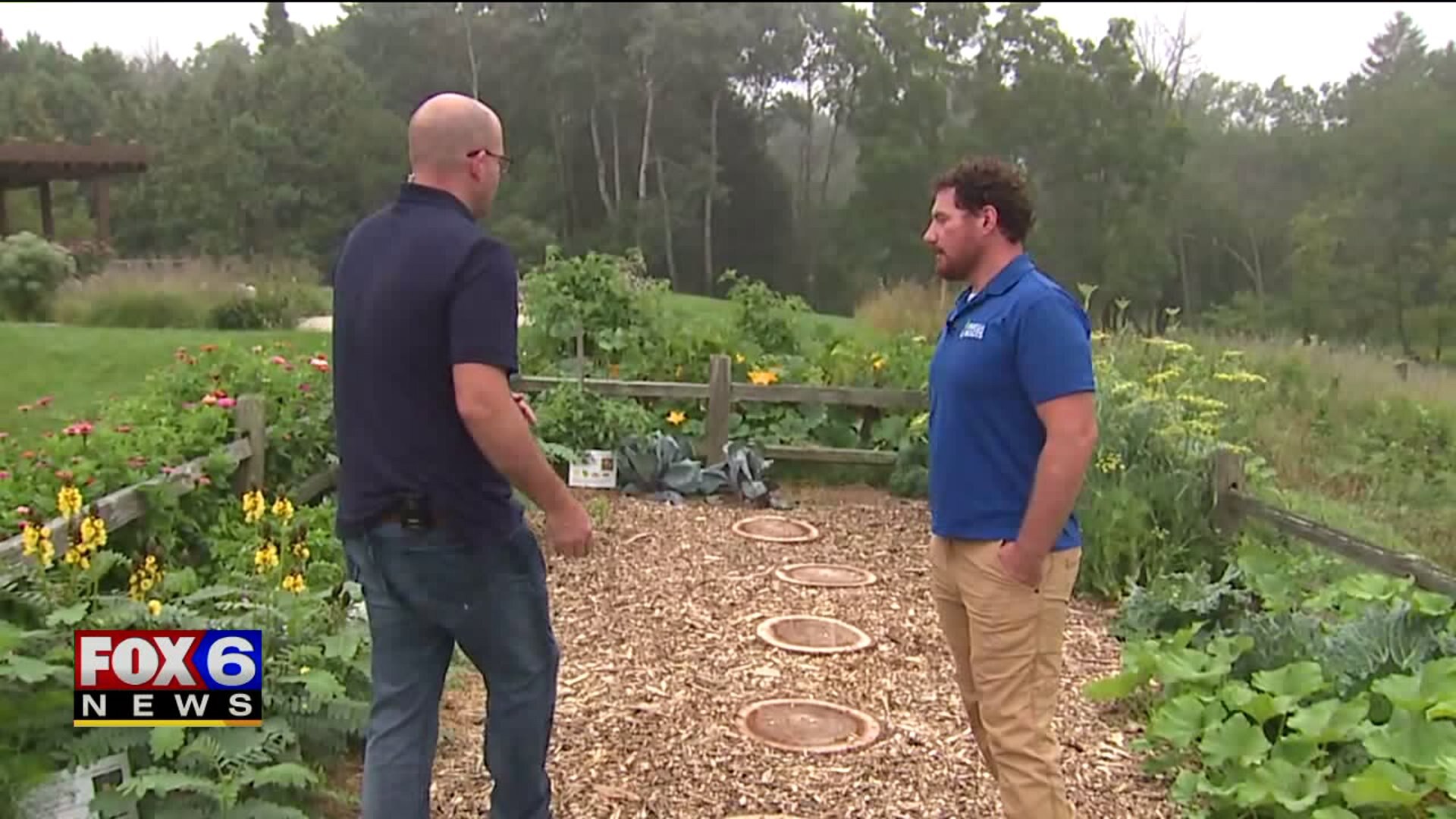 Gardening