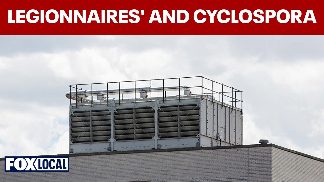 Doctor explains rising New York Legionnaires' disease and cyclospora outbreaks