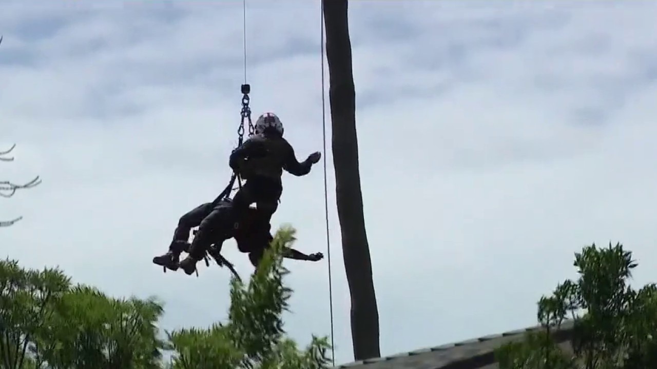 Trapped worker rescued from palm tree in San Jose