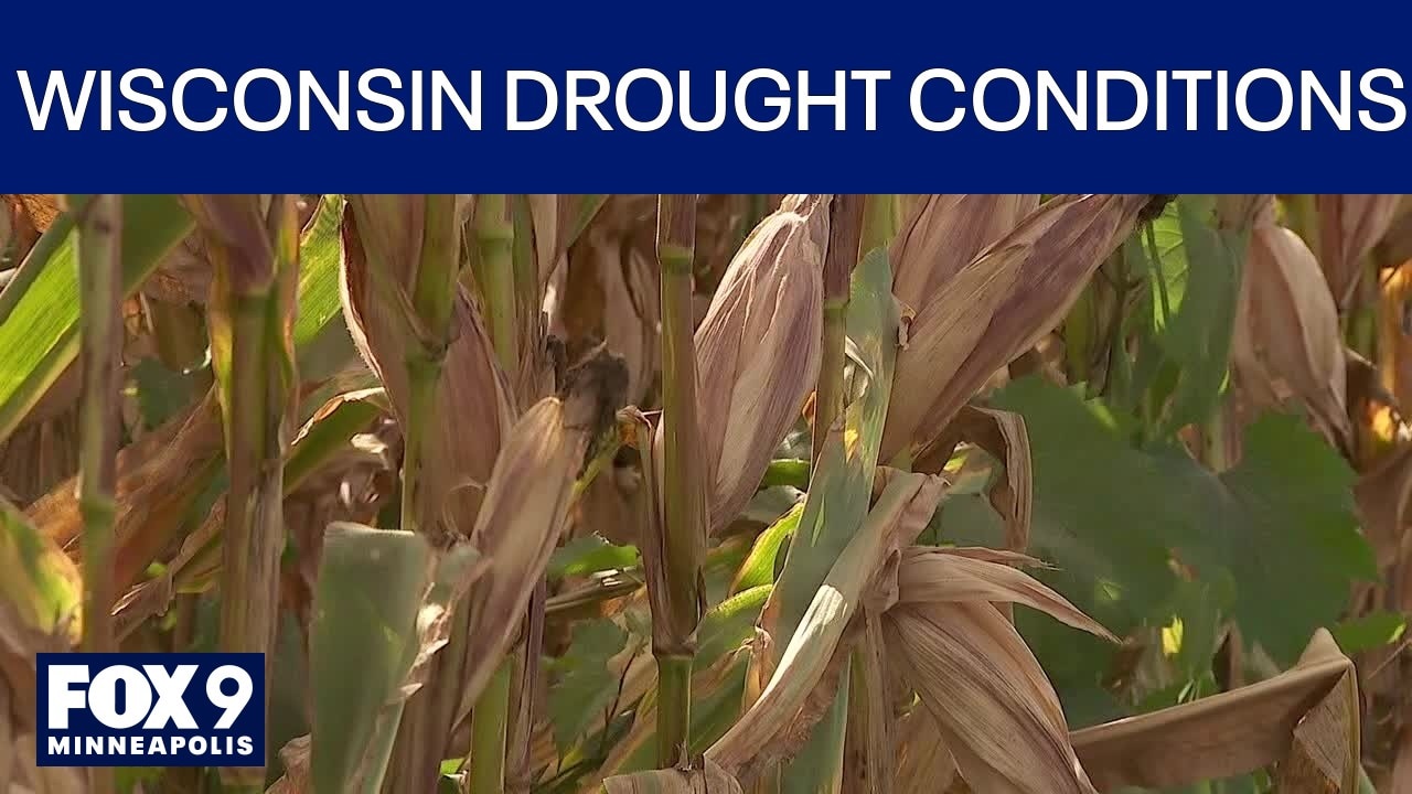 Wisconsin facing severe drought conditions