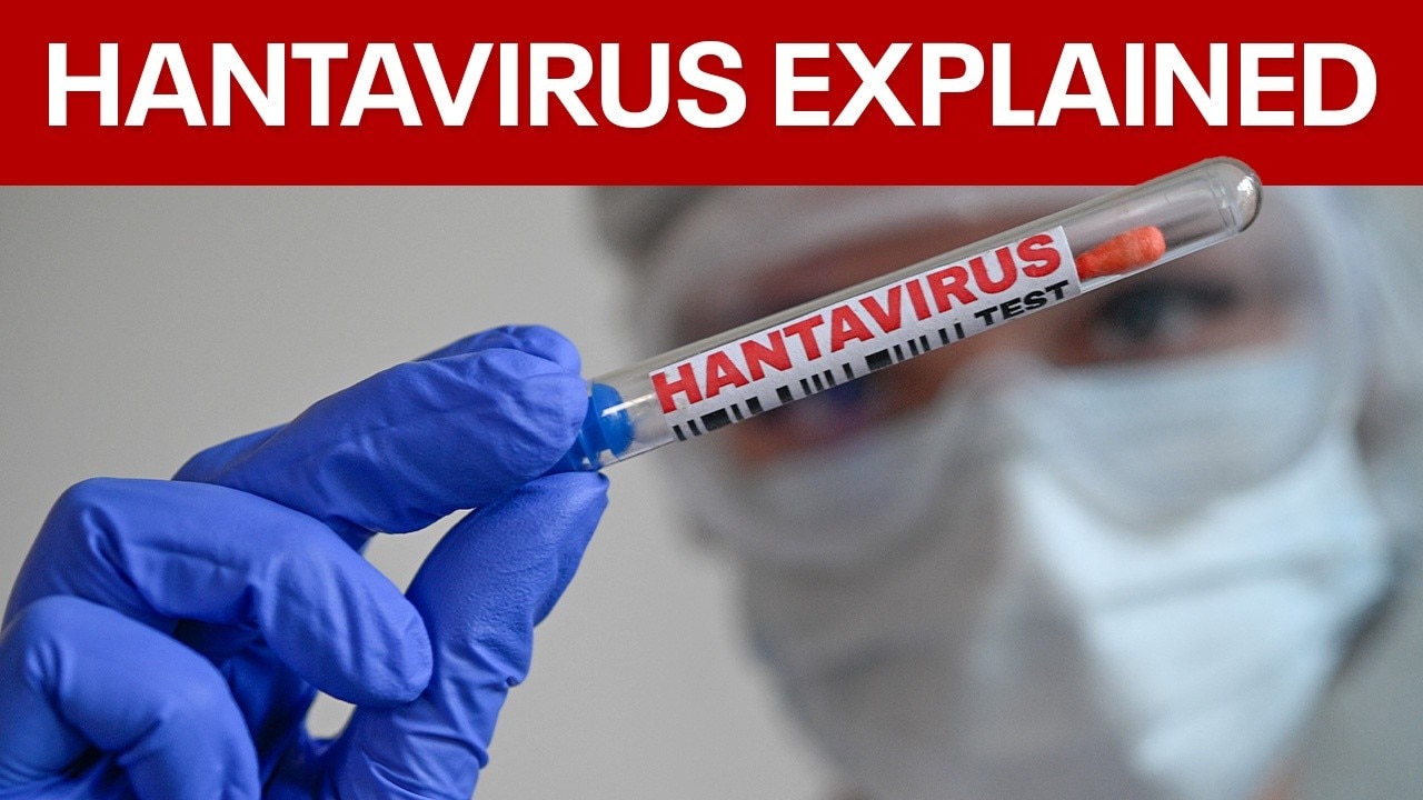 Hantavirus outbreak: What you need to know 