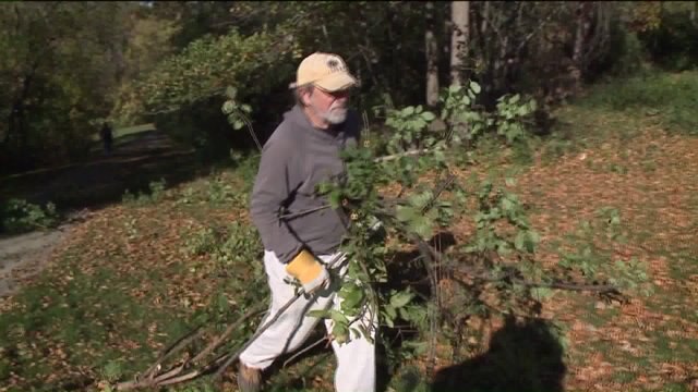 Volunteers roll up their sleeves to "Weed Out" Milwaukee County Parks
