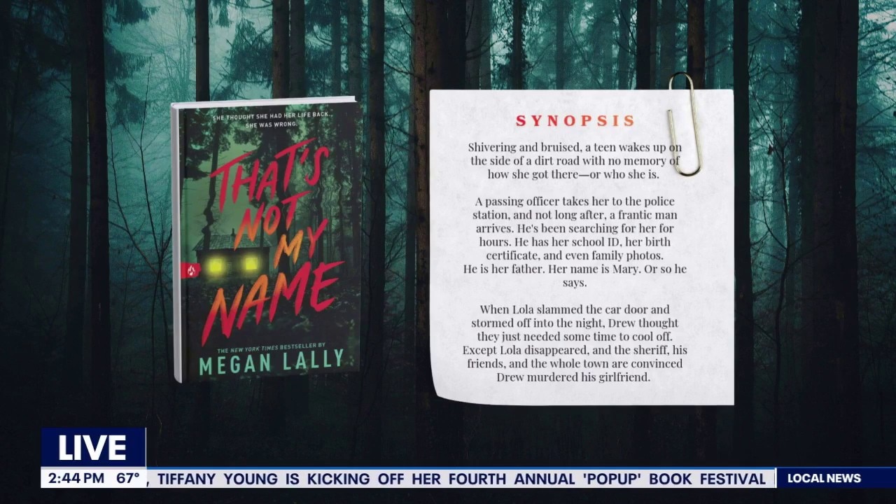 Book Chat with Author Megan Lally 