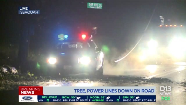 Downed tree, power lines cause delays on Issaquah-Hobart Road