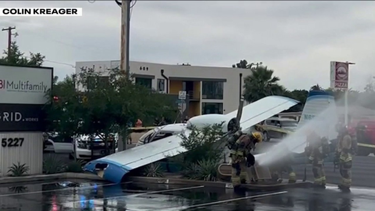 Pilot says 'aviation gods were with us' during emergency plane landing