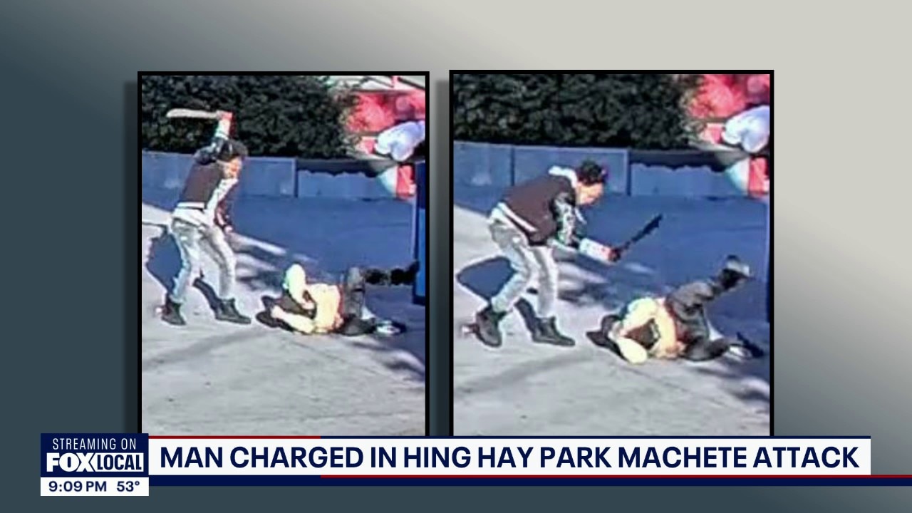 Man charged in Hing Hay Park machete attack