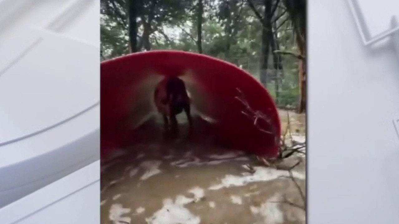 Nonprofit suffers flood damage from heavy rains