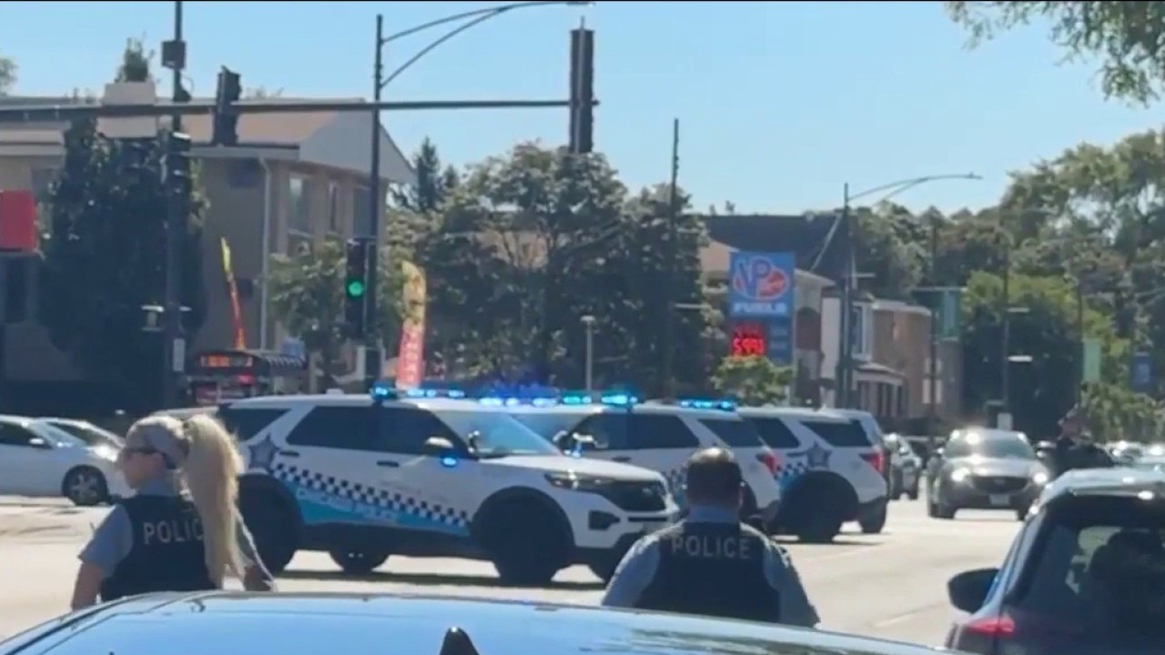 Girl, 7, stabbed to death on Chicago's South Side, police say