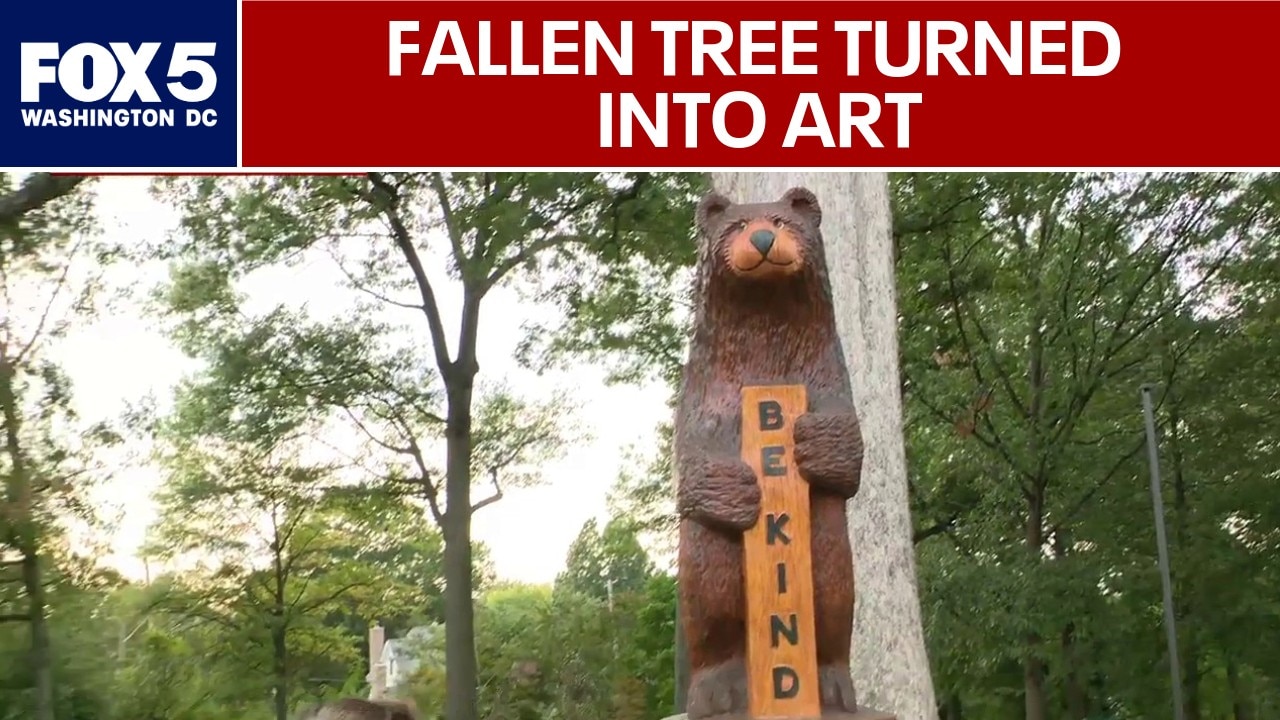 Chevy Chase community turns fallen tree into art
