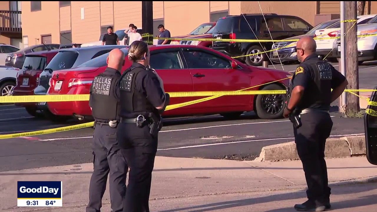 Police search for stabbing suspect in Dallas
