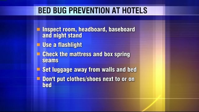 Beware of bed bugs! What to look for and how to keep them away
