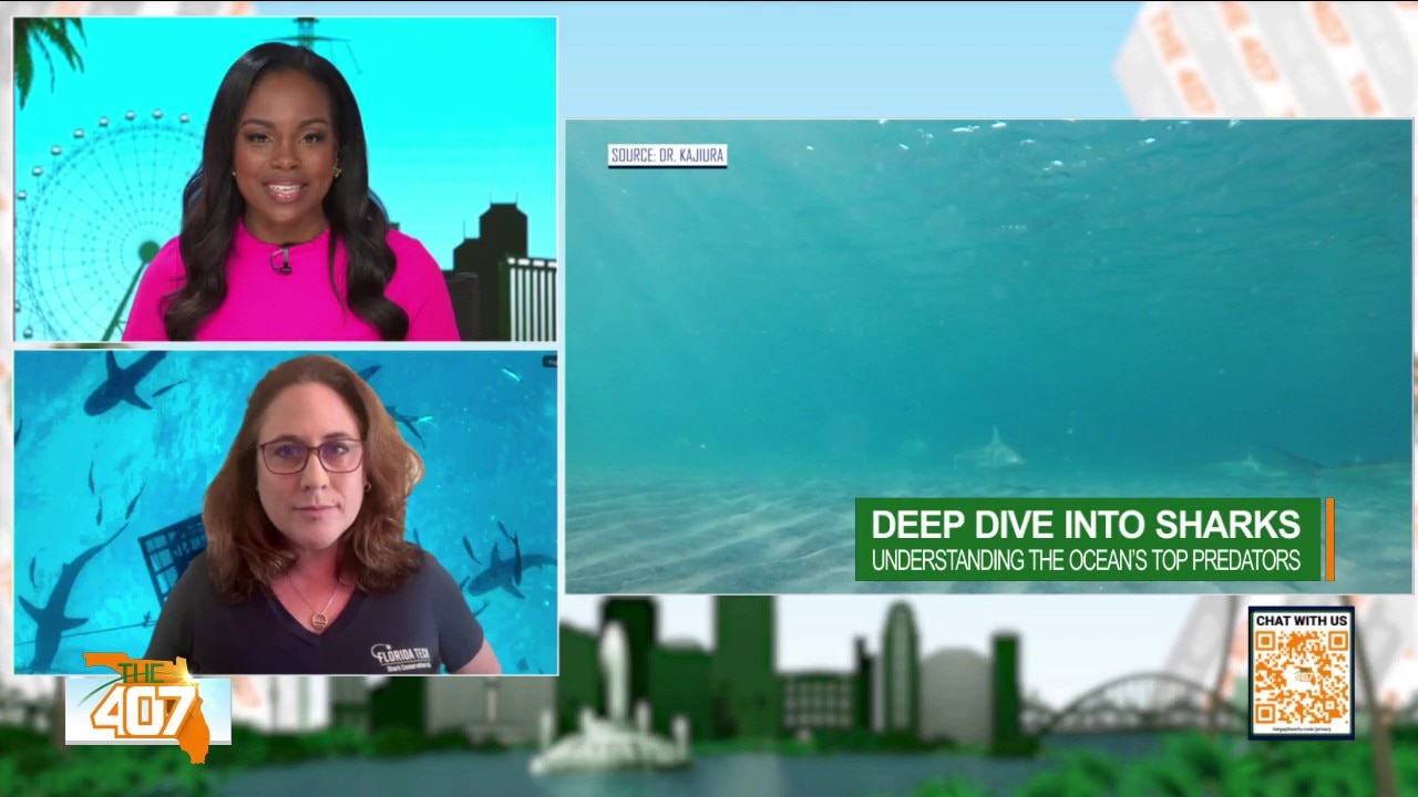 Shark Fact vs. Fiction with Expert Dr. Toby Daley-Engel