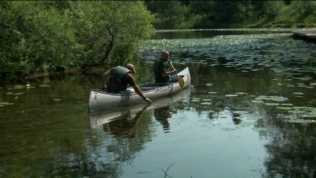 Kramp hangs in the water at the Schlitz Audubon Nature Center