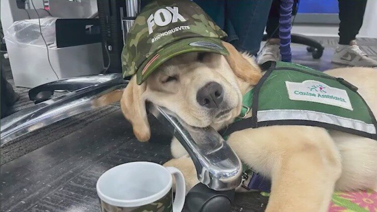 Catching up with future service dog Mae