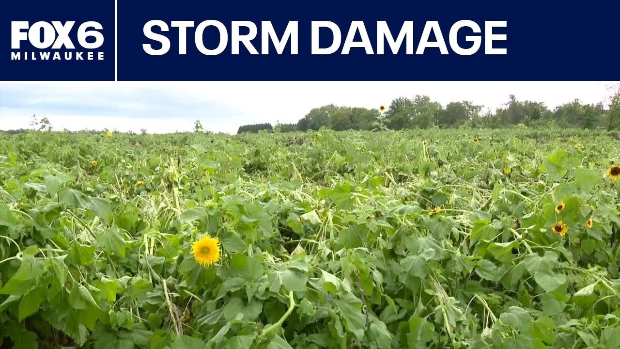 Storm damage at Basse's Taste of Country in Colgate