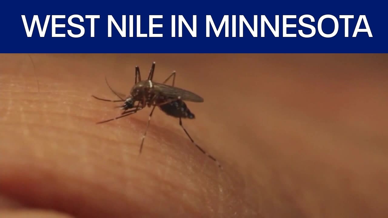 West Nile virus found in three Minnesota counties 