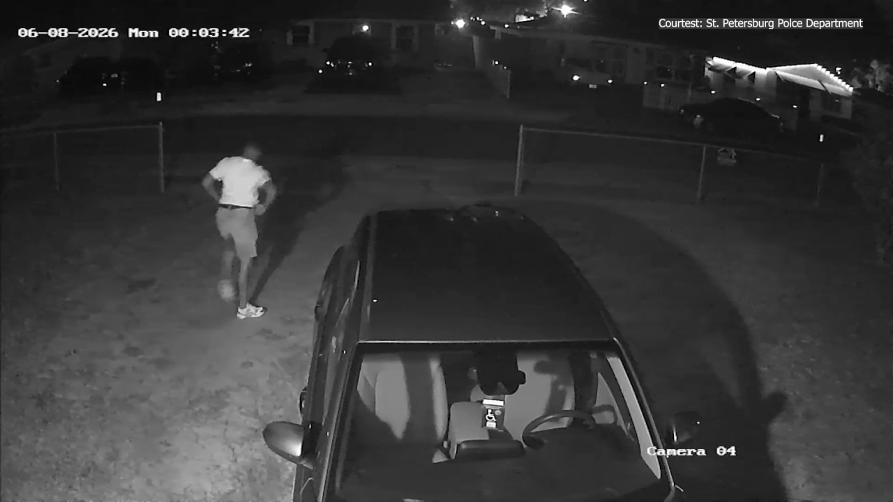 Hit-and-run suspect caught on camera