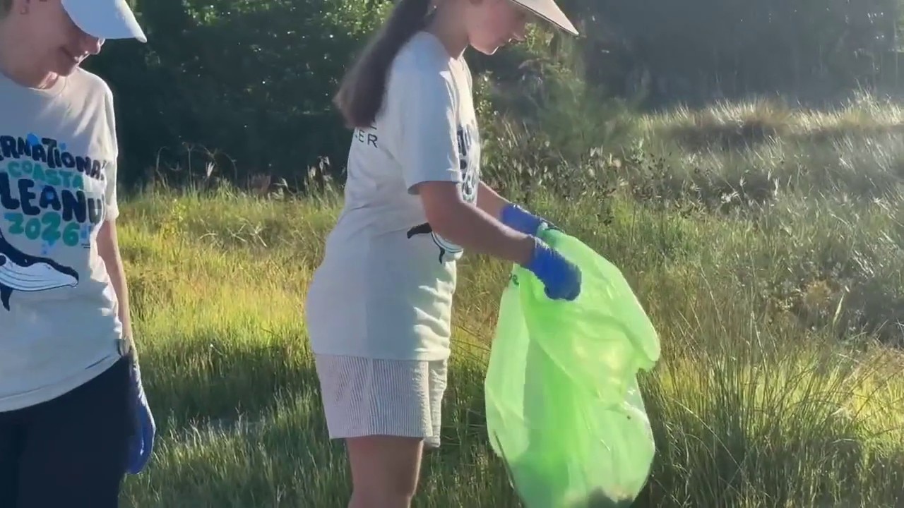 500+ volunteers clean up Sarasota County beaches