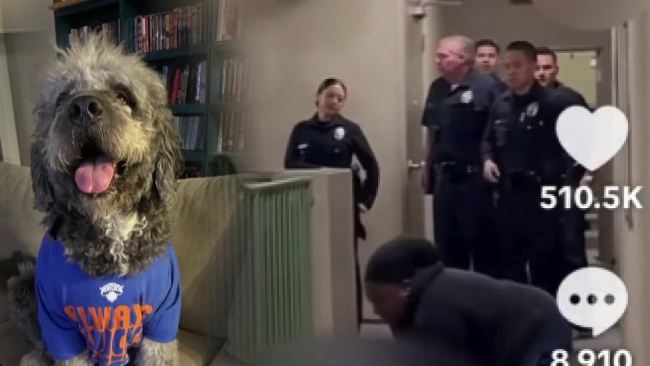Woman says LAPD officer shot and killed her dog