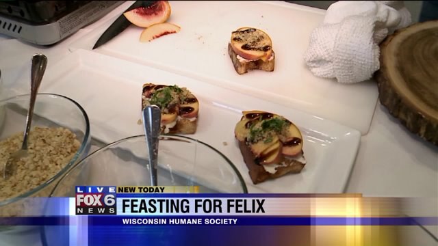 Carl checks out all the delicious foods at Feasting for Felix