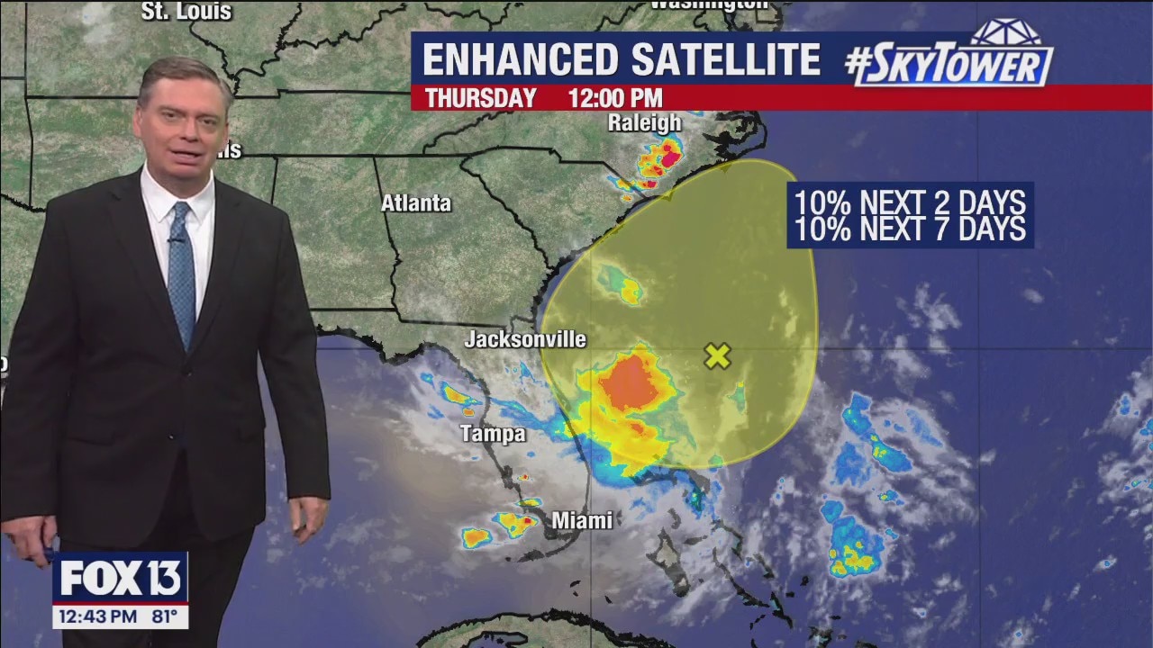 Tampa Weather | Muggy with showers likely