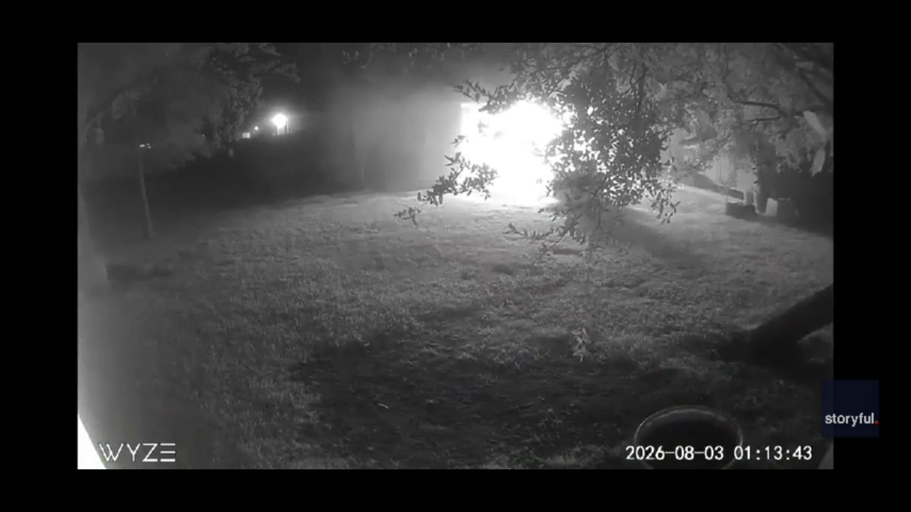 Heroic goose alerts Texas family to middle-of-the-night barn fire