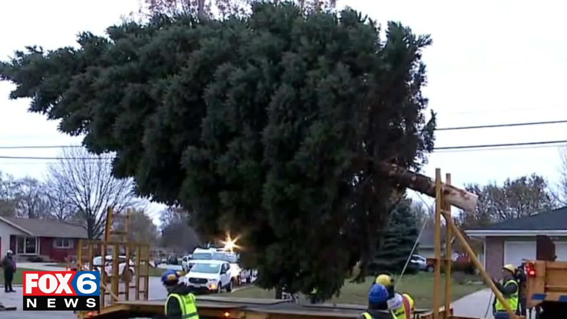 City of Milwaukee Christmas Tree