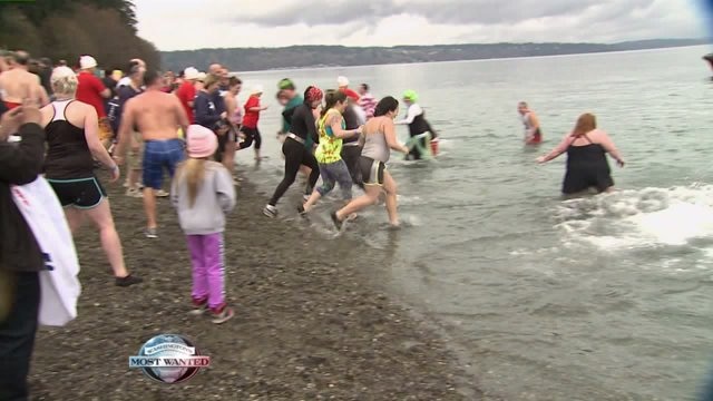 Polar Plunge 2017