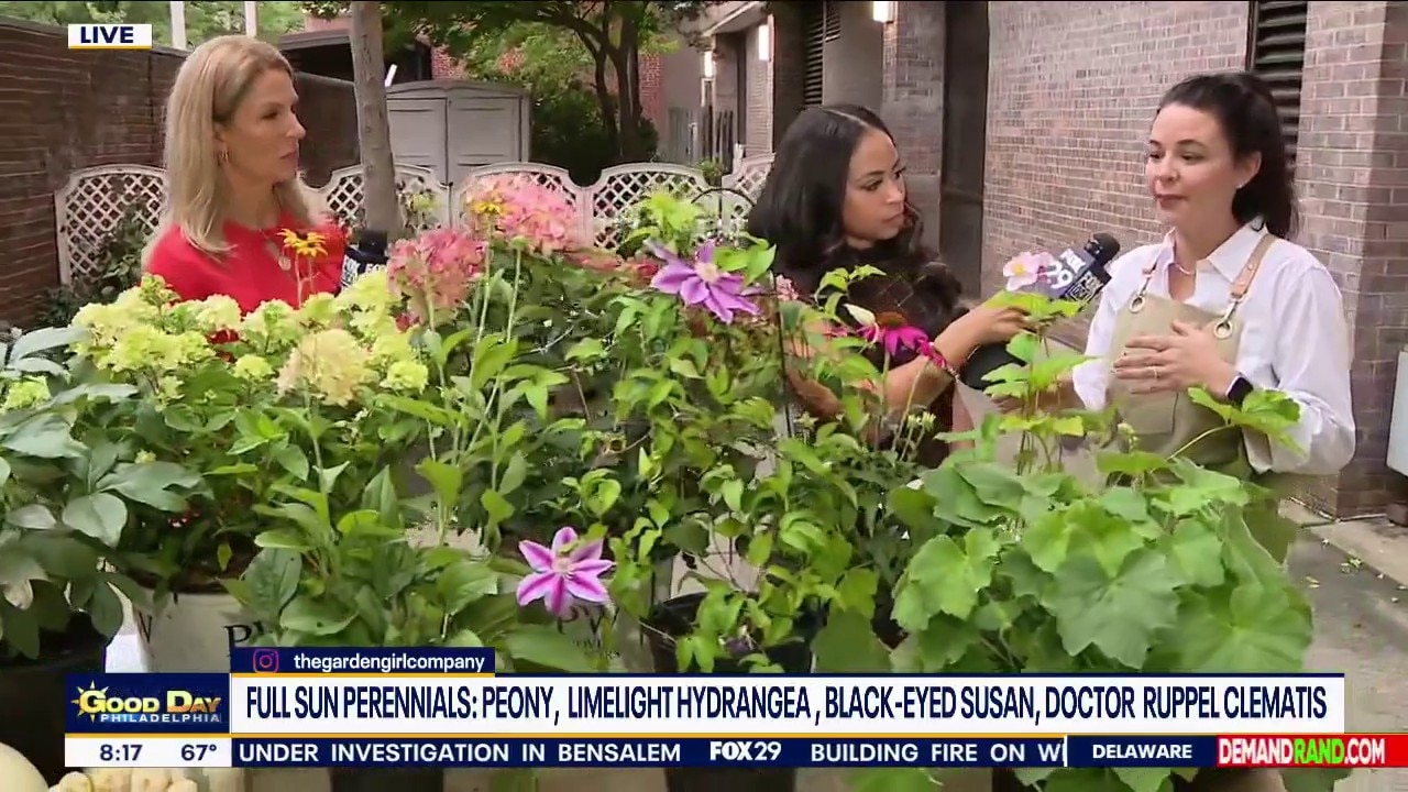 Plants You Only Need To Buy Once
