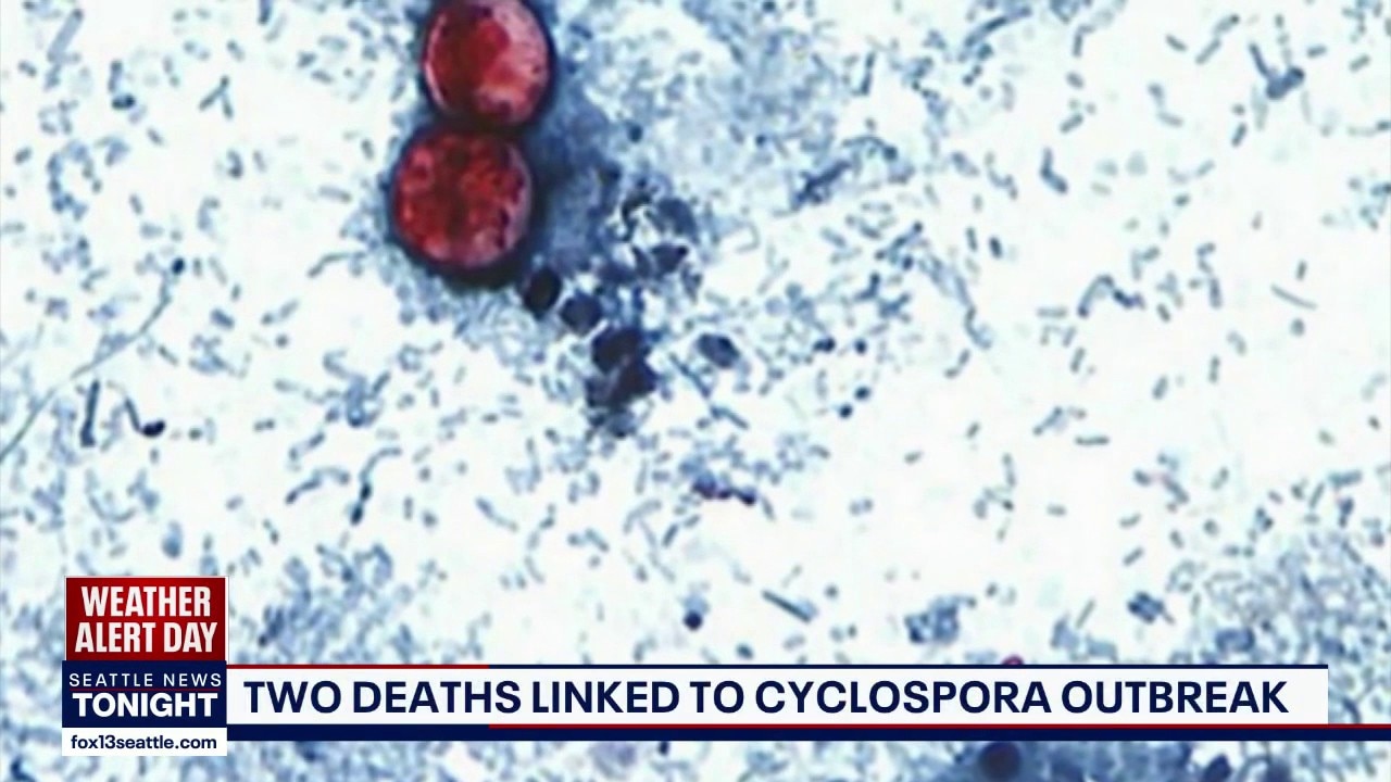 2 deaths linked to massive Cyclospora outbreak