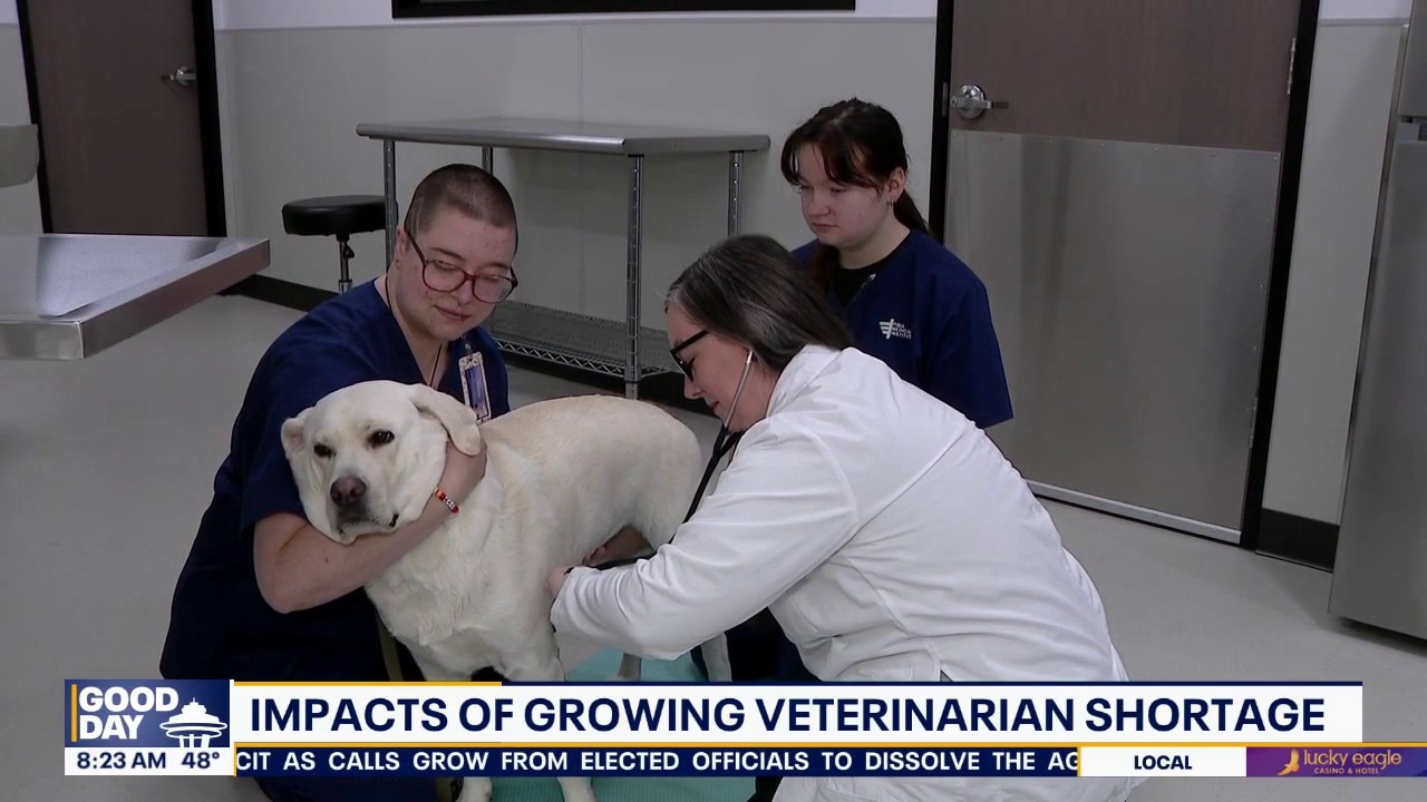 Impacts of growing vet shortage in WA