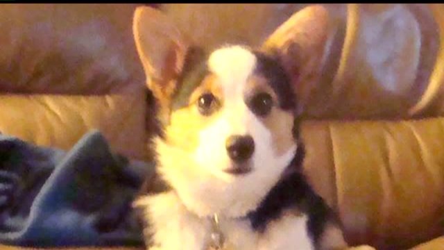 Justice for molly