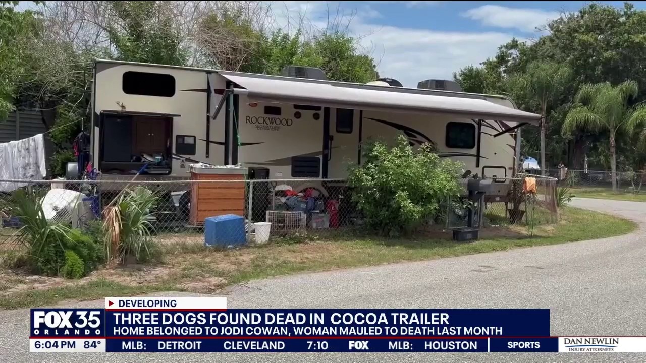 3 dogs found dead inside home linked to deadly mauling