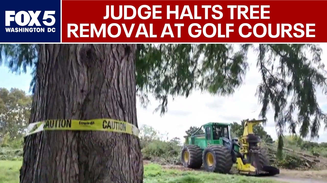 Federal judge halts tree removal at East Potomac Golf Links