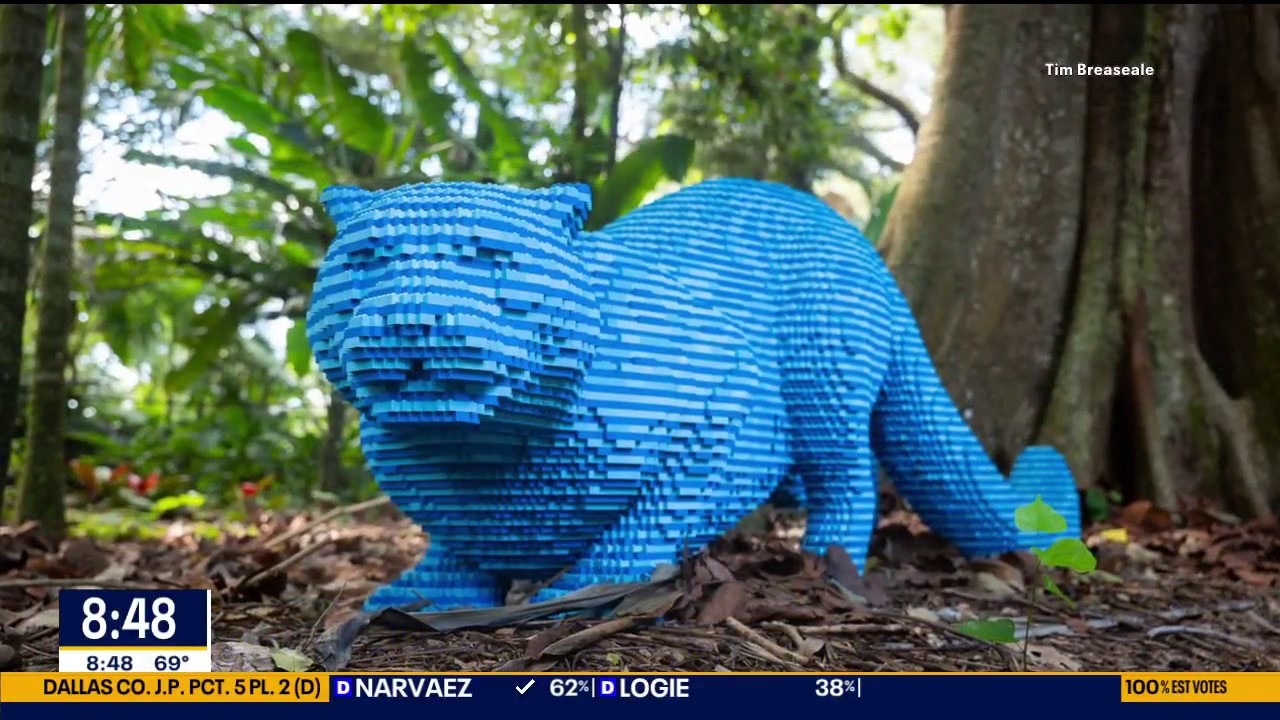 Lego bricks come to life at Fort Worth Botanic Garden