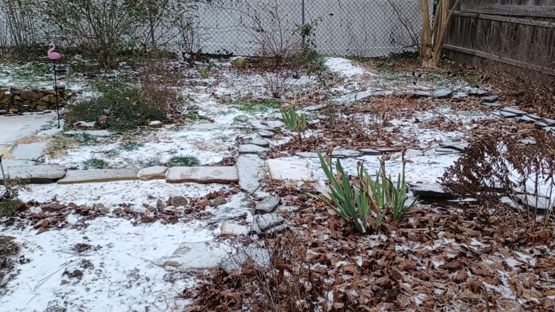 Drexel Hill snow and sleet