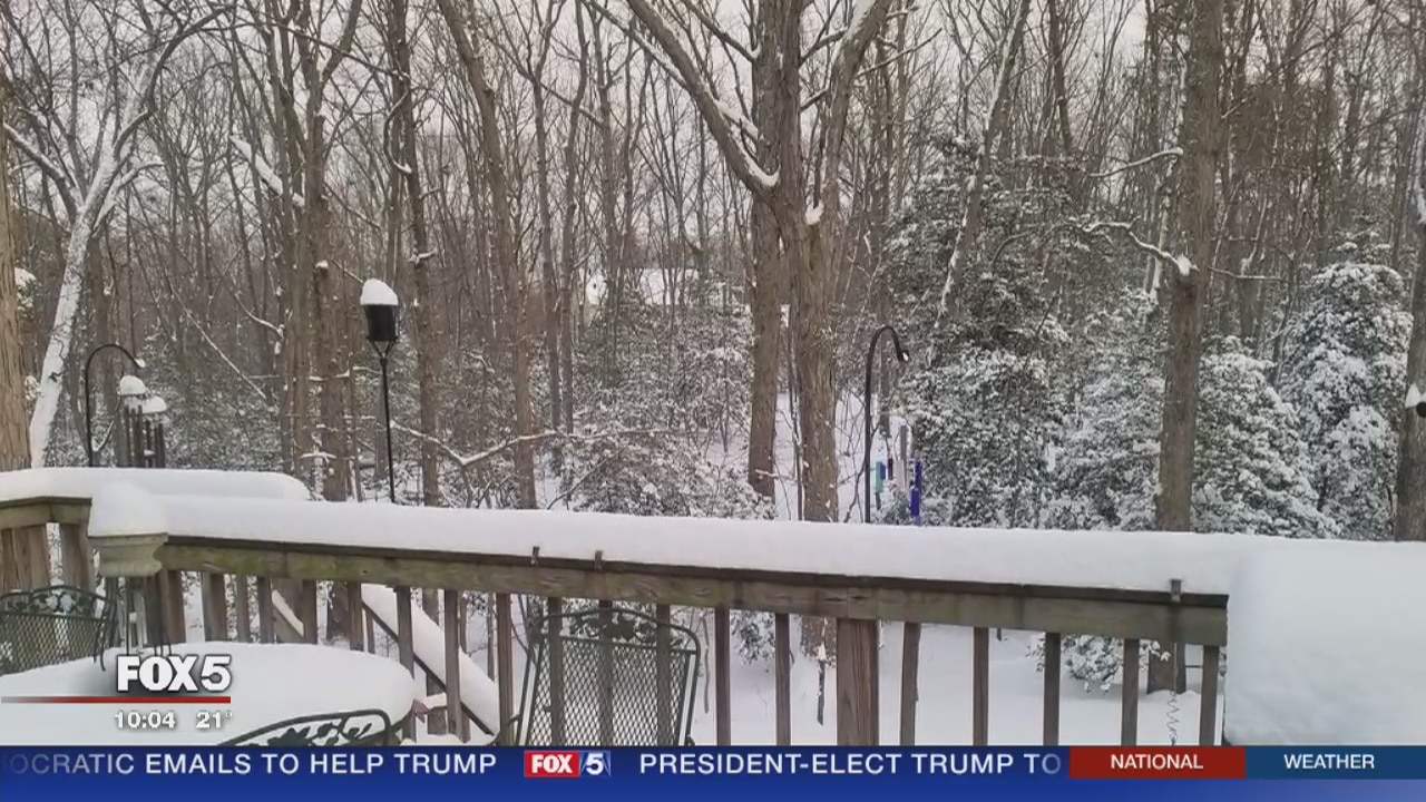 Coping with Cold and Snow