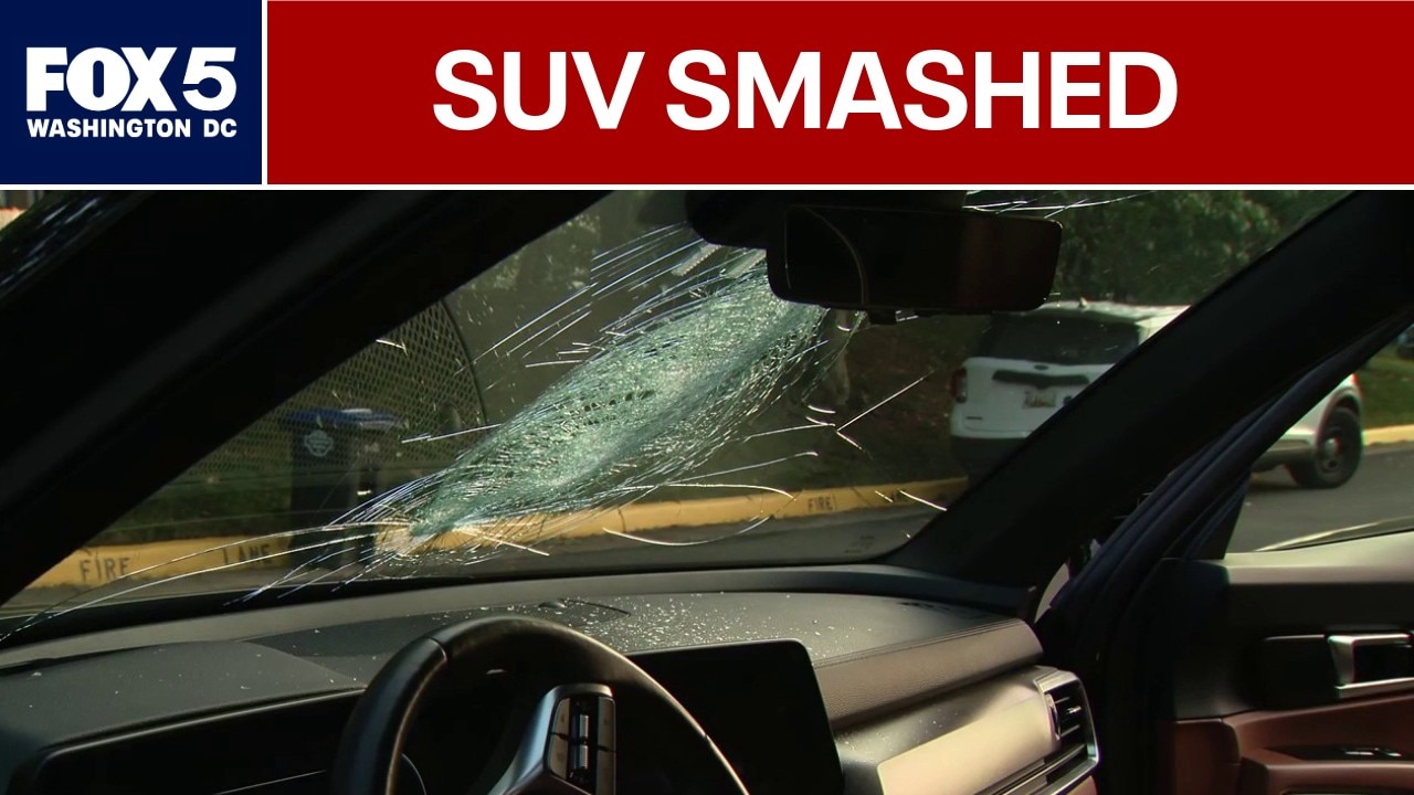 Loudoun County couple says rock thrown from overpass smashed their SUV 