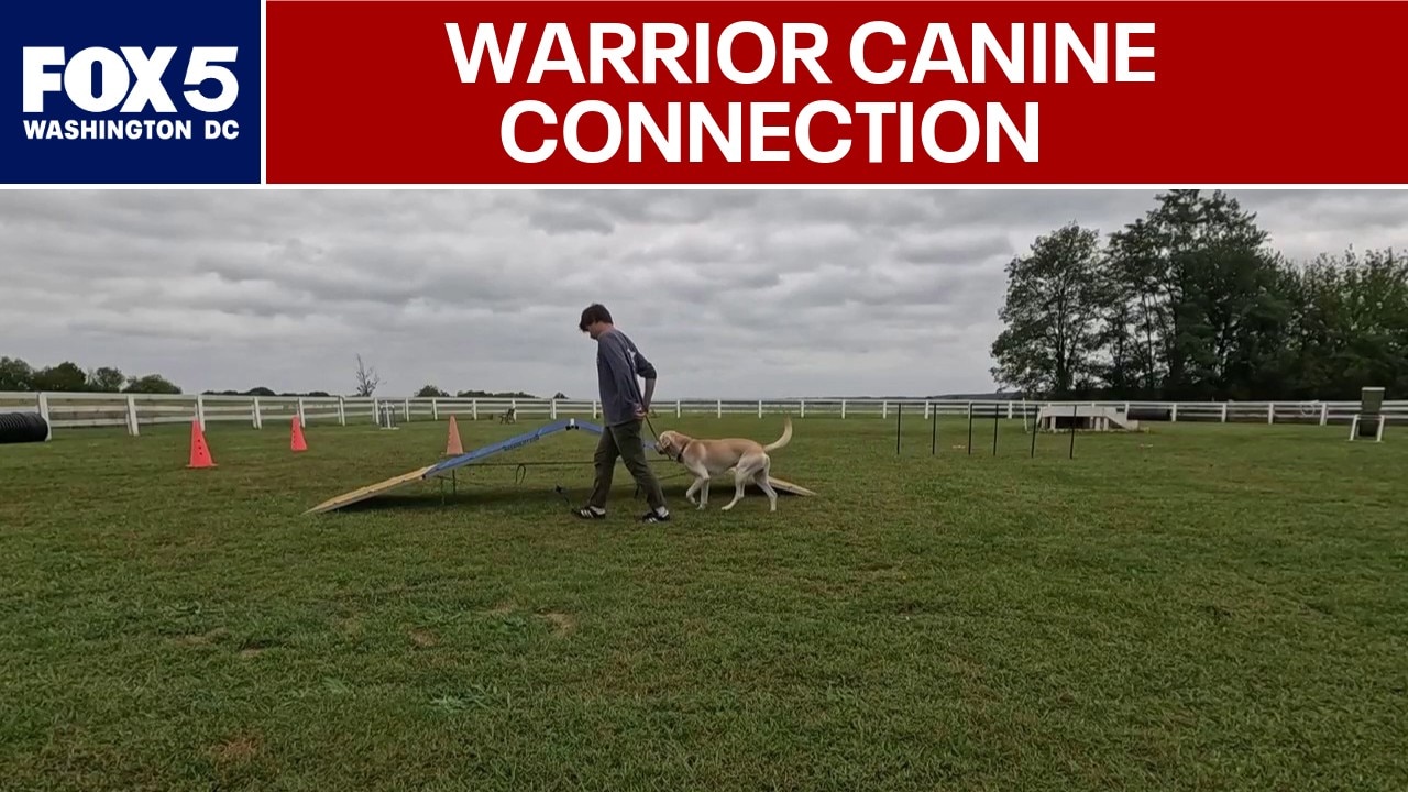 Warrior Canine Connection celebrates graduation