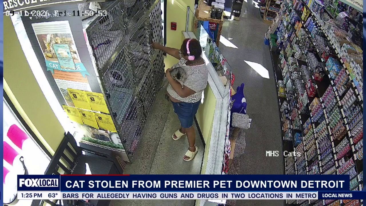 Owner of Premier Pet Supply talks about cat theft in Downtown Detroit