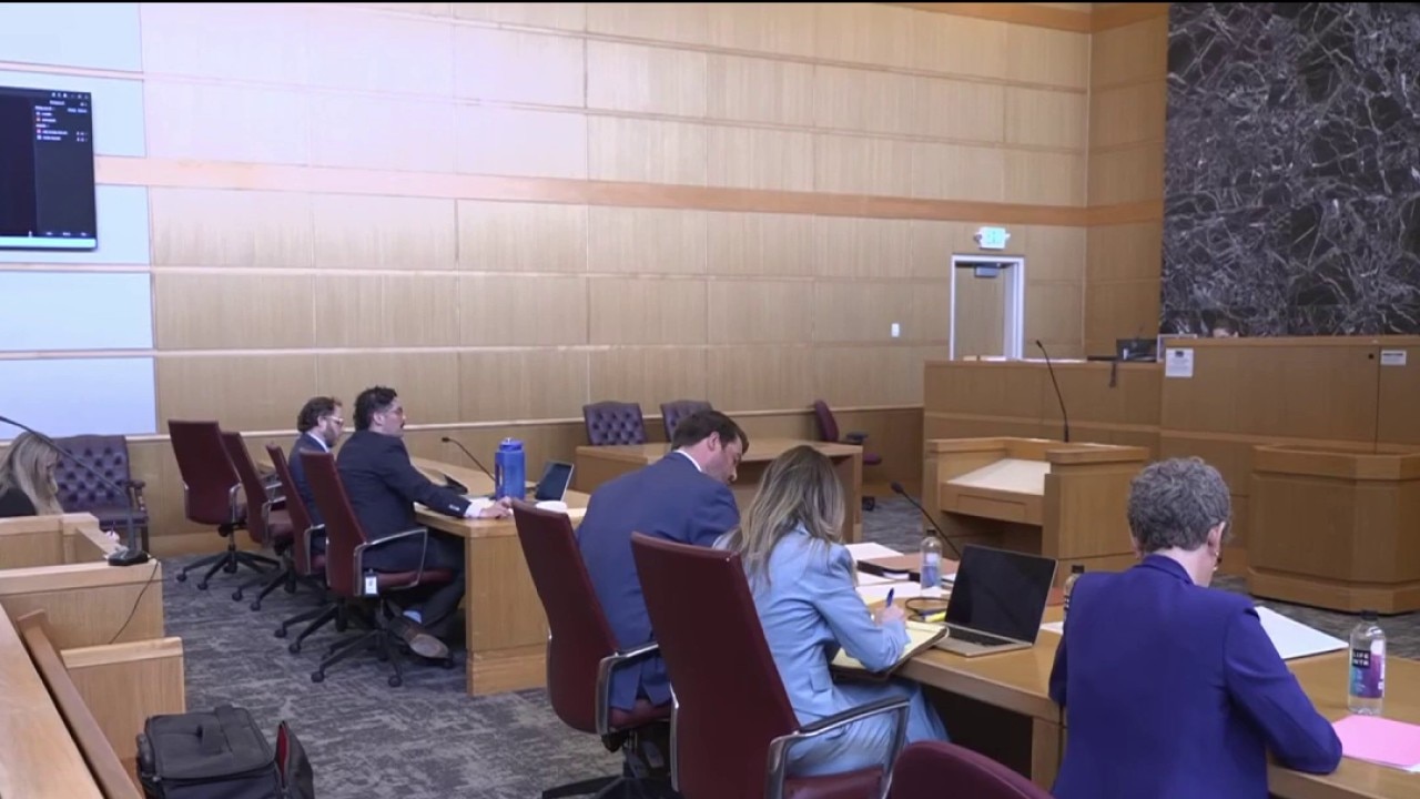 SPCA stands trial in Waddles the pig case