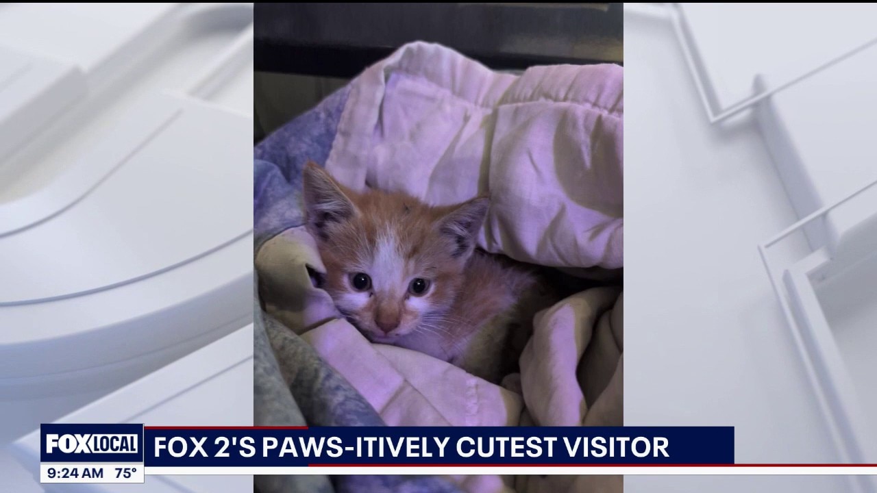 FOX2's Paw-itively Cutest Visitor