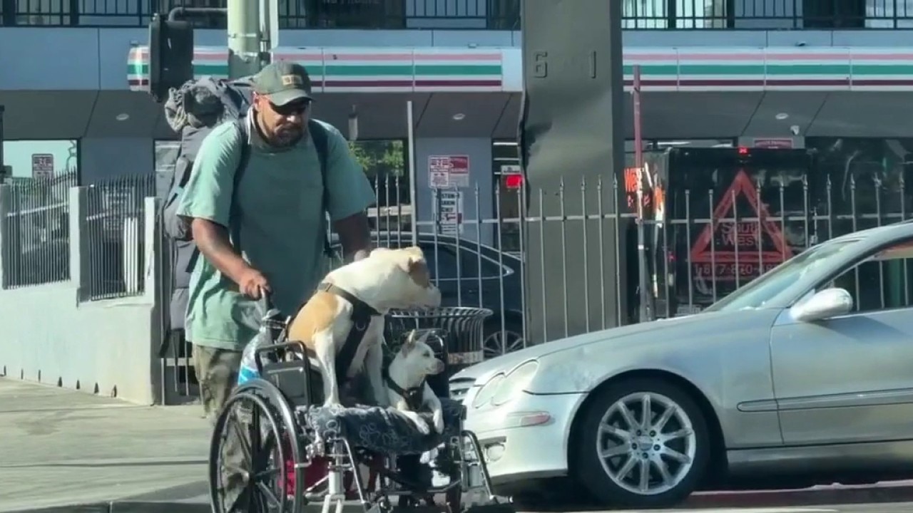 Independent homeless count underway in Hollywood