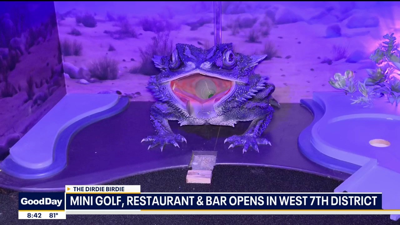 Dirdie Birdie mini golf opens in Fort Worth