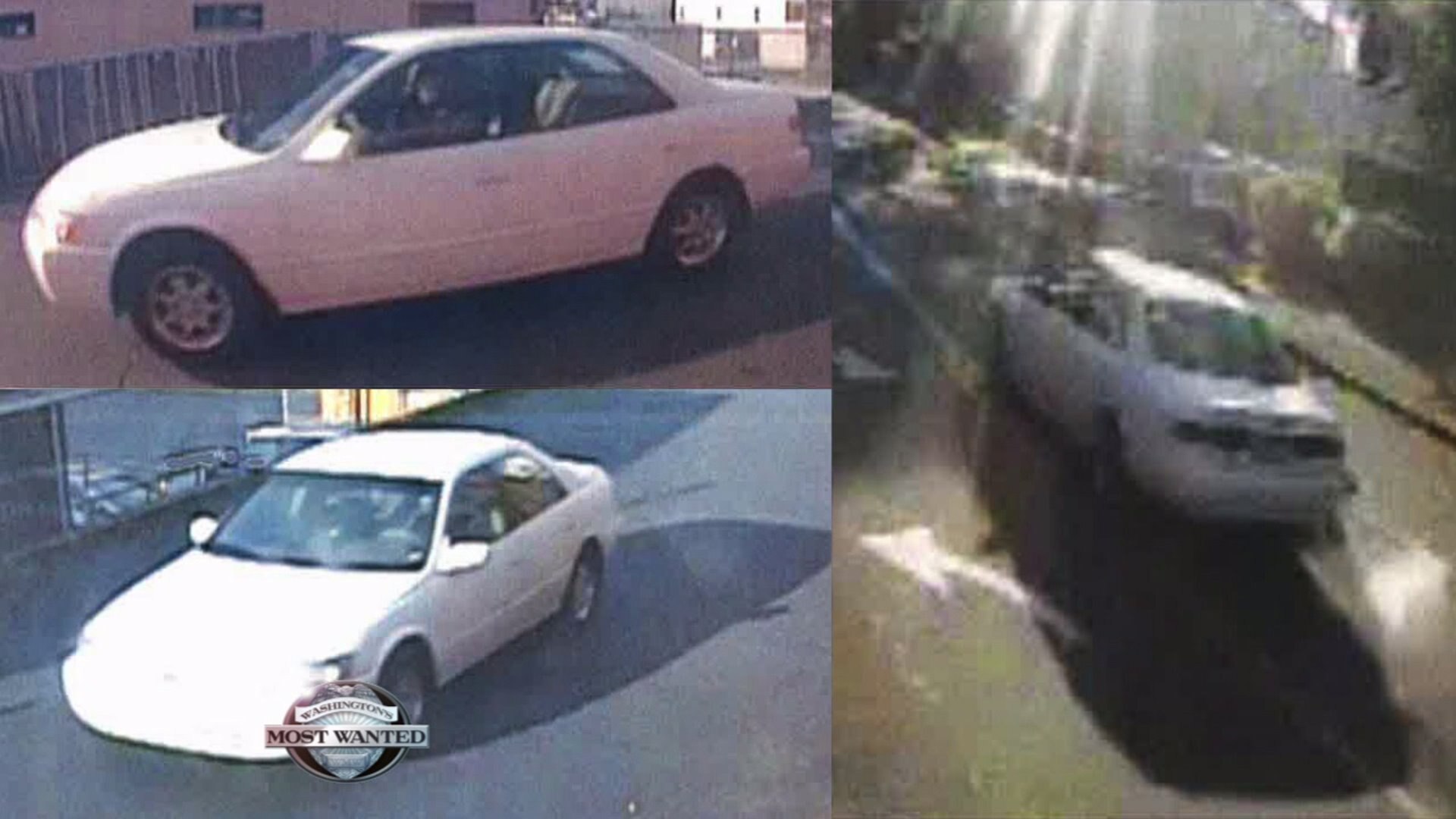 WANTED: Deadly hit and run driver