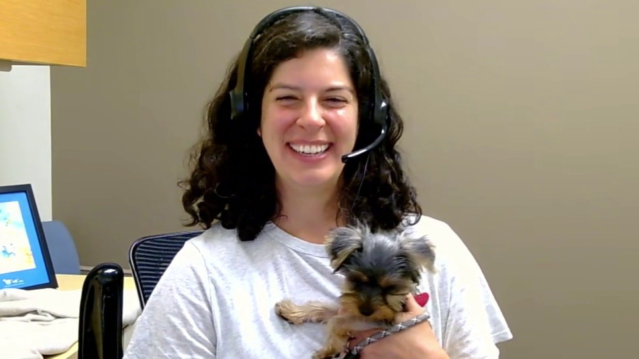 Keeping pets safe during poor air quality 